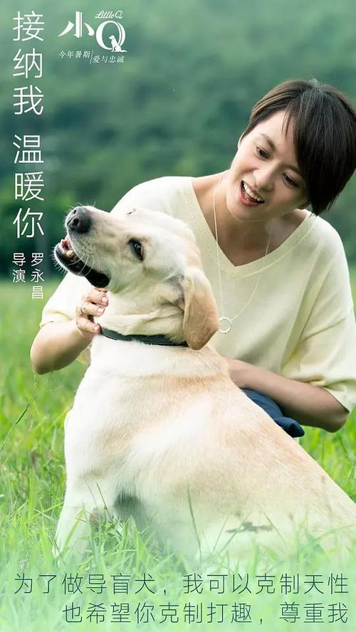 伦敦大学亚非学院文凭毕业证哪里可以做假的